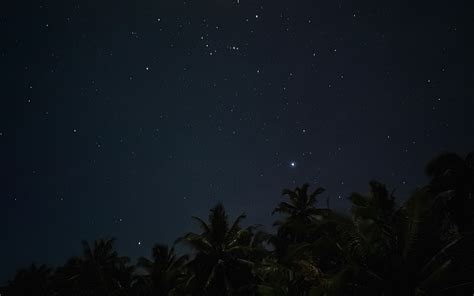 Download Wallpaper 3840x2400 Palm Trees Starry Sky Night Stars Dark