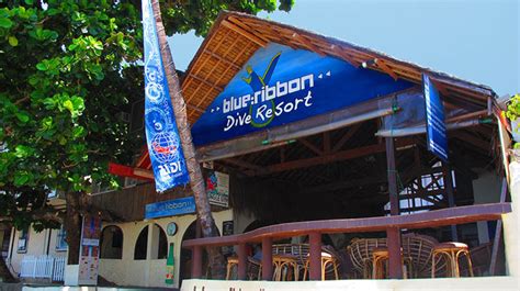 Welcome To Blue Ribbon Dive Resort Puerto Galera Philippines