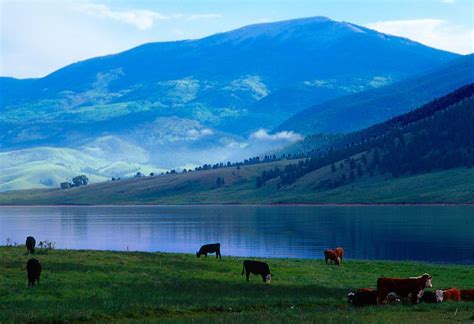Maybe you would like to learn more about one of these? Eagle Gallery: Eagle Nest Lake Nm Cabins