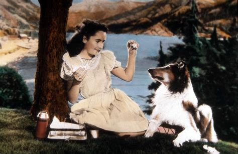 Dicas De Filmes Pela Scheila Filme A Coragem De Lassie 1946