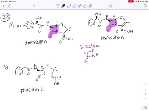 Solvedthe Penicillins And Cephalosporins β Lactam Antibiotics