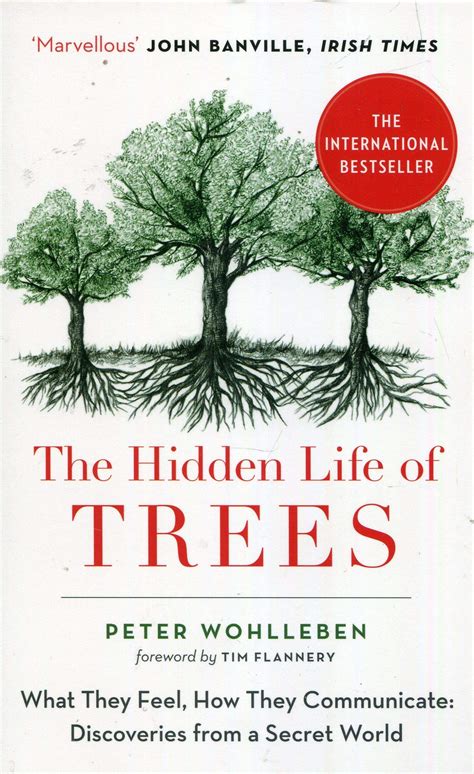 The Hidden Life of Trees | Booka Bookshop