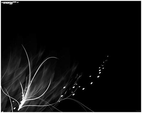 Free Download Pretty Black Backgrounds 1024x819 For Your Desktop