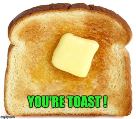 Toast Memes Photos