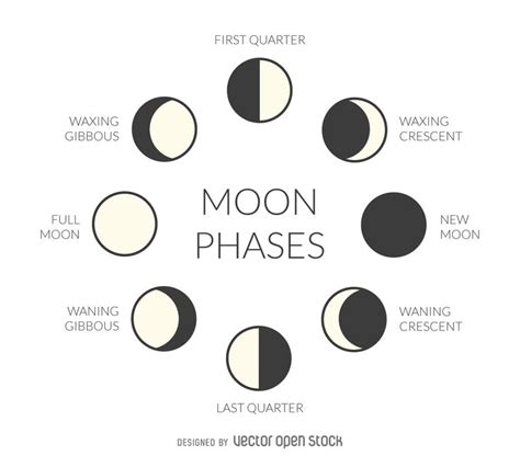 Phases Of The Moon For Each Phase In Which You Can See What It S Supposed To Be