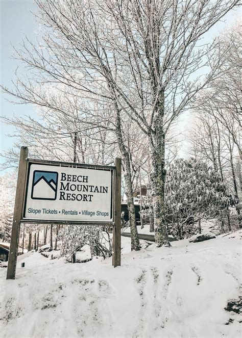 Exploring Beech Mountain Pretty In The Pines New York City Lifestyle
