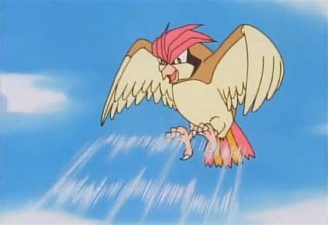Ash ketchum is the main protagonist of the pokémon anime series. Image - Ash Pidgeotto Gust.png | Pokémon Wiki | FANDOM powered by Wikia