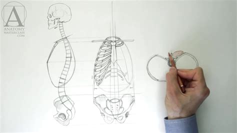 How to draw human figures from memory and imagination. Human Torso Anatomy - Anatomy Master Class for figurative ...