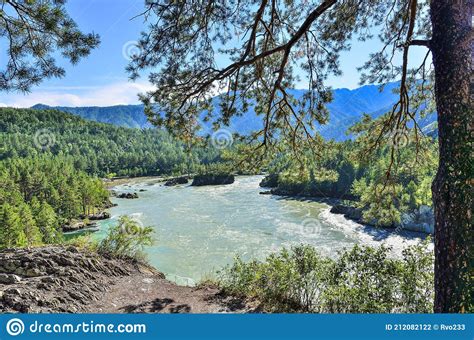 Place Of Confluence Of Two Mountain Rivers Chemal And Katun Altai