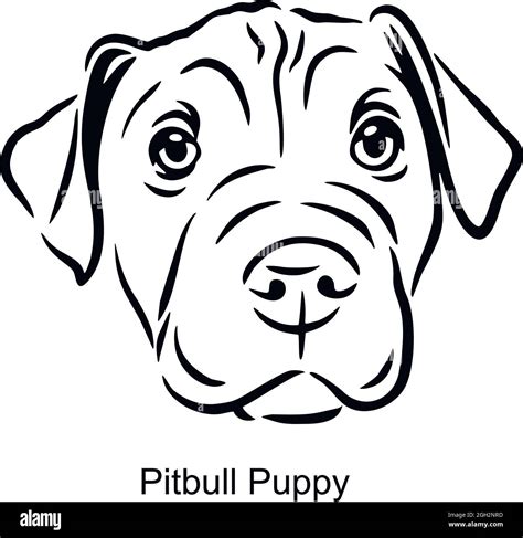 Pitbull Puppy Portrait Dog In Line Style Pet Portrait In Light Style