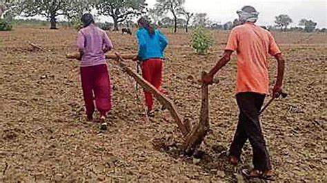With No Money For Tractors Or Oxen Up Girls Pull Plough At Their Field