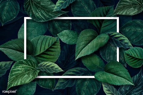 Download Premium Psd Of White Frame On A Metallic Green Leaves Textured