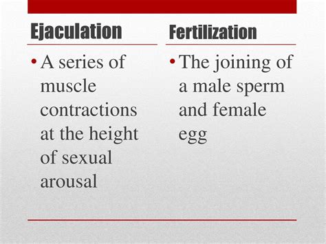 Male Reproductive System Ppt Download