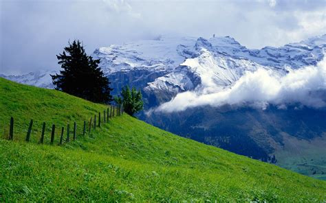 Nature Of Switzerland Hd Wallpaper