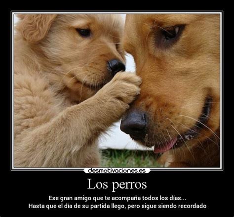 Sintético 95 Foto Como Asen El Amor Los Perros Cena Hermosa