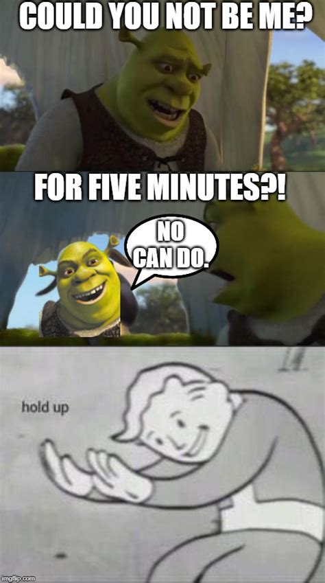 Meme De Shrek 5 Minutos Bhe