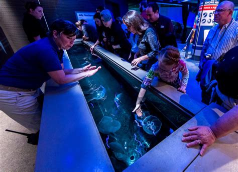 National Aquarium Exhibit Puts Sea Creatures Within Reach The