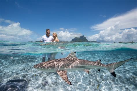 Bora Bora Full Day Aquatic Photo Tour And Resort Shooting