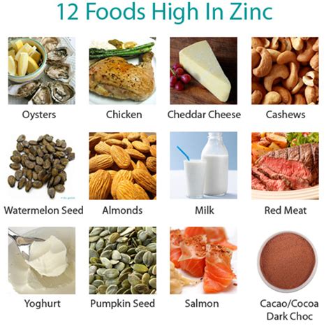 Rishi Ayurveda Hospital And Research Centre Best Zinc Rich Foods