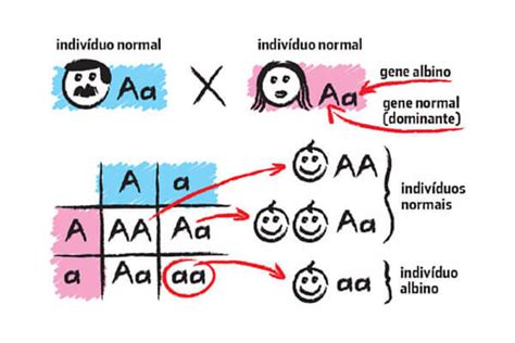 Genes Dominantes E Recessivos O Que São Composição