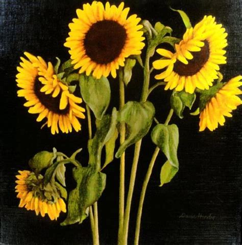 When his career began, the main focal point behind his works was the depict the lives of mexico and its people. sunflowers painting & david hardy sunflowers paintings for ...