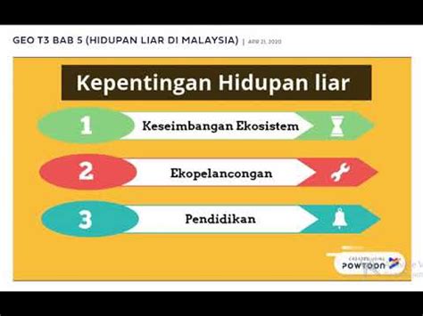 Pernahkah anda terfikir kepentingan hidupan liar. Apakah Kepentingan Hidupan Liar Di Malaysia
