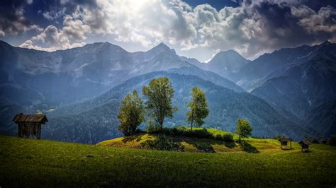 Photos Austria Nature Mountains Scenery Grass Trees 2560x1440