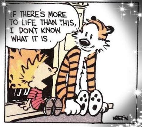 Best Calvin And Hobbes Calvin Und Hobbes Calvin And Hobbes Quotes