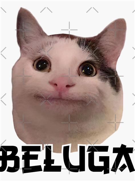 Smiling Cat Beluga Discord Pfp Sticker By Stickiii Redbubble