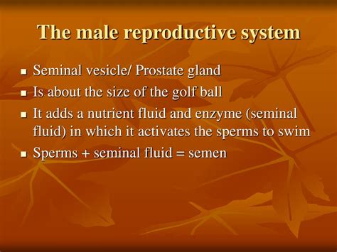 Ppt Sexual Reproduction In Human Beings Powerpoint Presentation Id