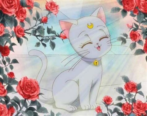 Pin By Morgan Sawaya On Rini Sailor Moon Anime Chibiusa