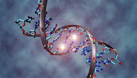 científicos logran secuenciar el genoma humano por completo claves sobre este gran avance