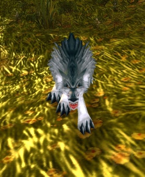 Mangy Wolf - NPC - WotLK Classic