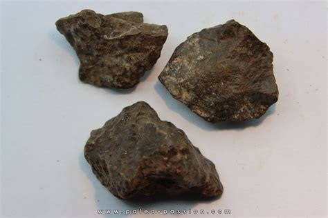 Set Of 3 Meteorites Ordinary Chondrite Nwa