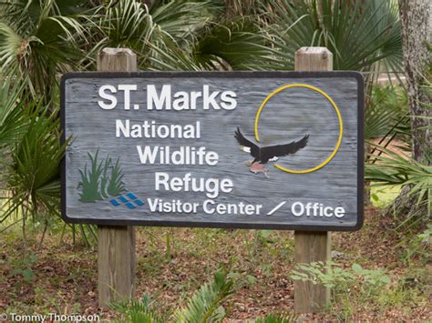 Forests And Wildlife Refuges Visit Natural North Fl