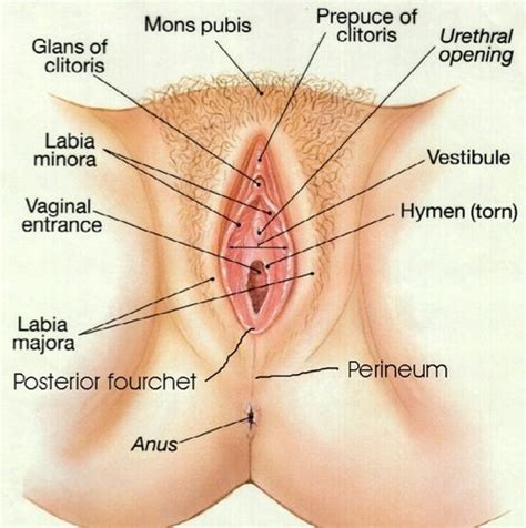 A colonial woman on the porch of her house. Vagina Science (@Vaginascience) | Twitter