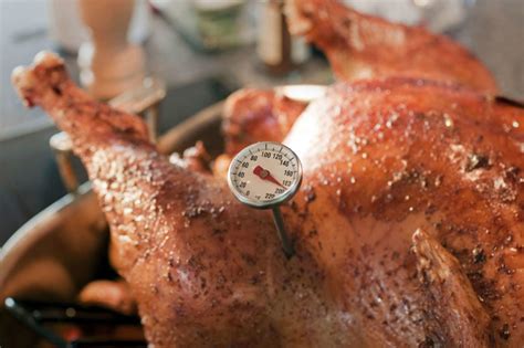 Modern medicine offers various type thermometers (thermometers for home use): How to use a meat thermometer