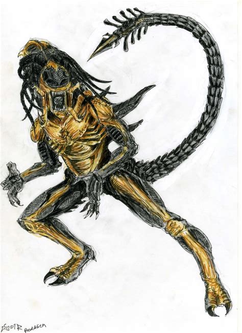 Image Predalien Xenopedia The Alien Vs Predator Wiki