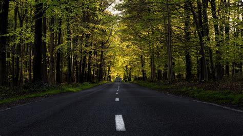 Download 3840x2160 Wallpaper Highway Forest Tree Road