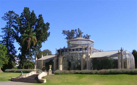 Filepalm House Adelaide Botanic Gardens Oblique Wikipedia