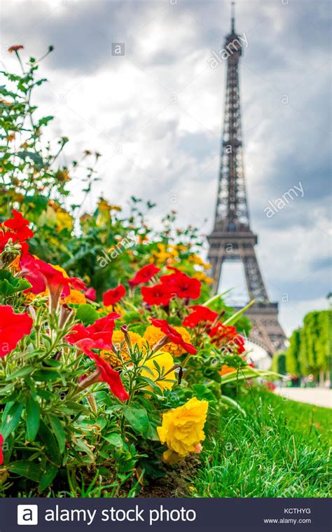 A View Of The Eiffel Tower From The Champ De Mars In Paris France