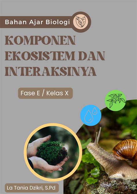 Komponen Ekosistem Peran Dan Interaksinya - vrogue.co