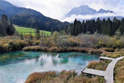 Your Guide To The Beautiful Zelenci Nature Reserve Slovenia Craving