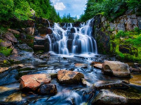 Mount Rainier National Park Washington Usa Landscape