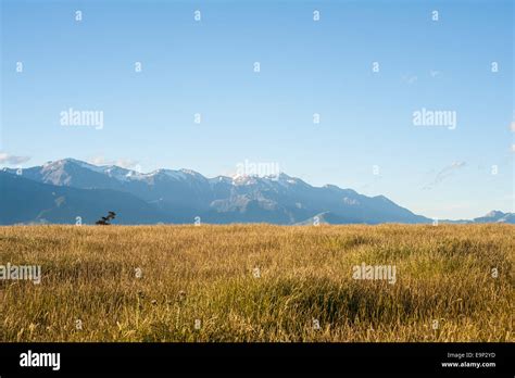 Coastal Plains And Mountains South Island New Zealand Stock Photo Alamy