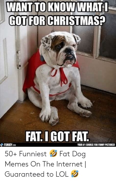 Fat Dog Meme Give Me I M Lovin It More Mcdonalds Fat Dog Memes S