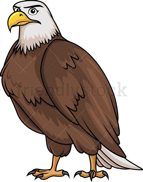 Front View Bald Eagle Flying Cartoon Clipart Vector Friendlystock
