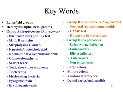 Ppt Streptococci Gram Positive Cocci Lecture 45 Powerpoint