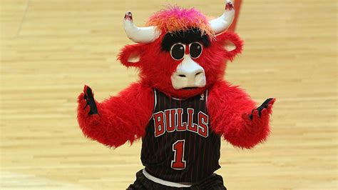 Benny The Bull Chicagos Most Beloved Mascot Needs A New Human Nba