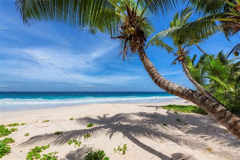 Paradise sunny tropical beach | High-Quality Nature Stock Photos ...